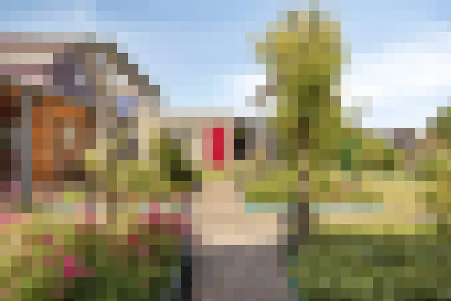 Purperreiger 5 Wildervank thumbnail 69