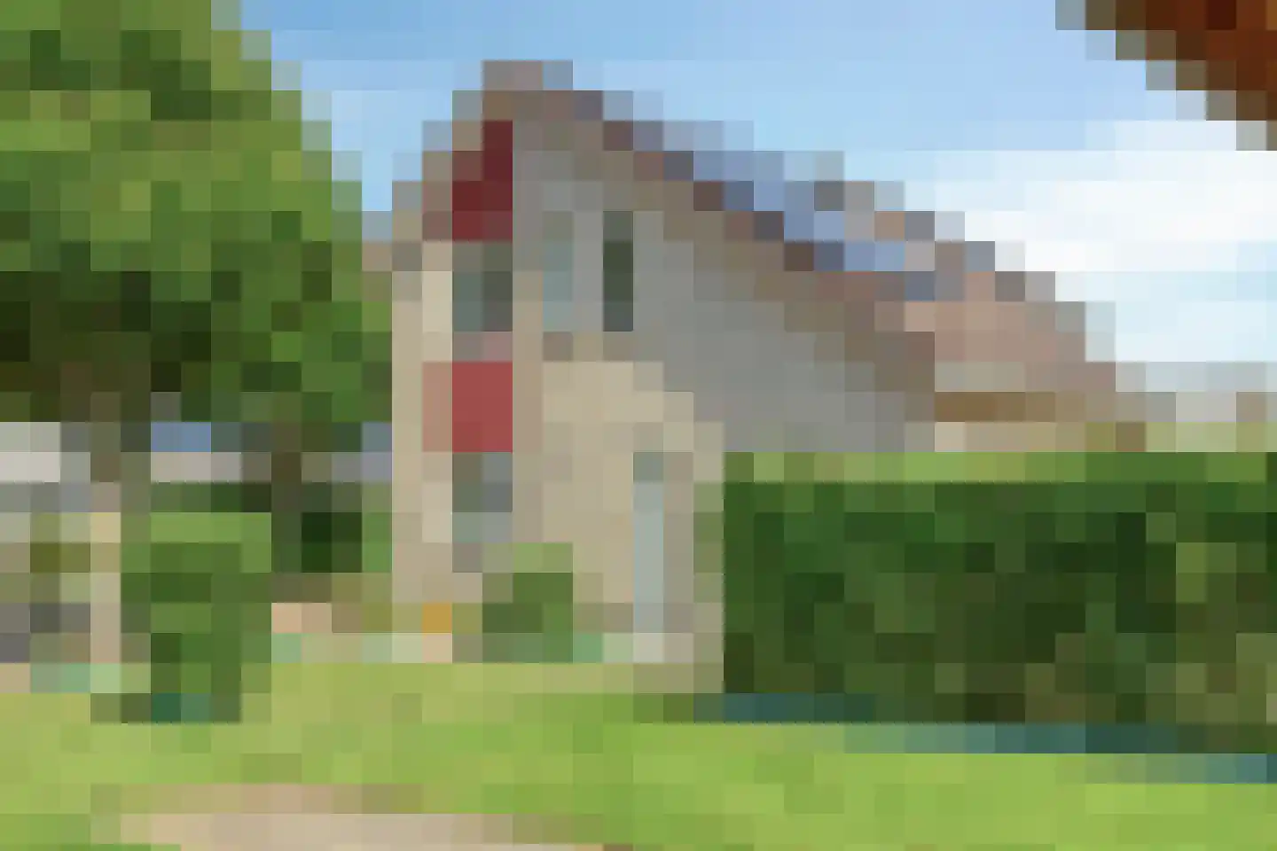 Purperreiger 5 Wildervank thumbnail 76
