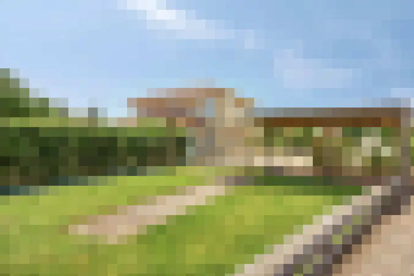 Purperreiger 5 Wildervank thumbnail 77