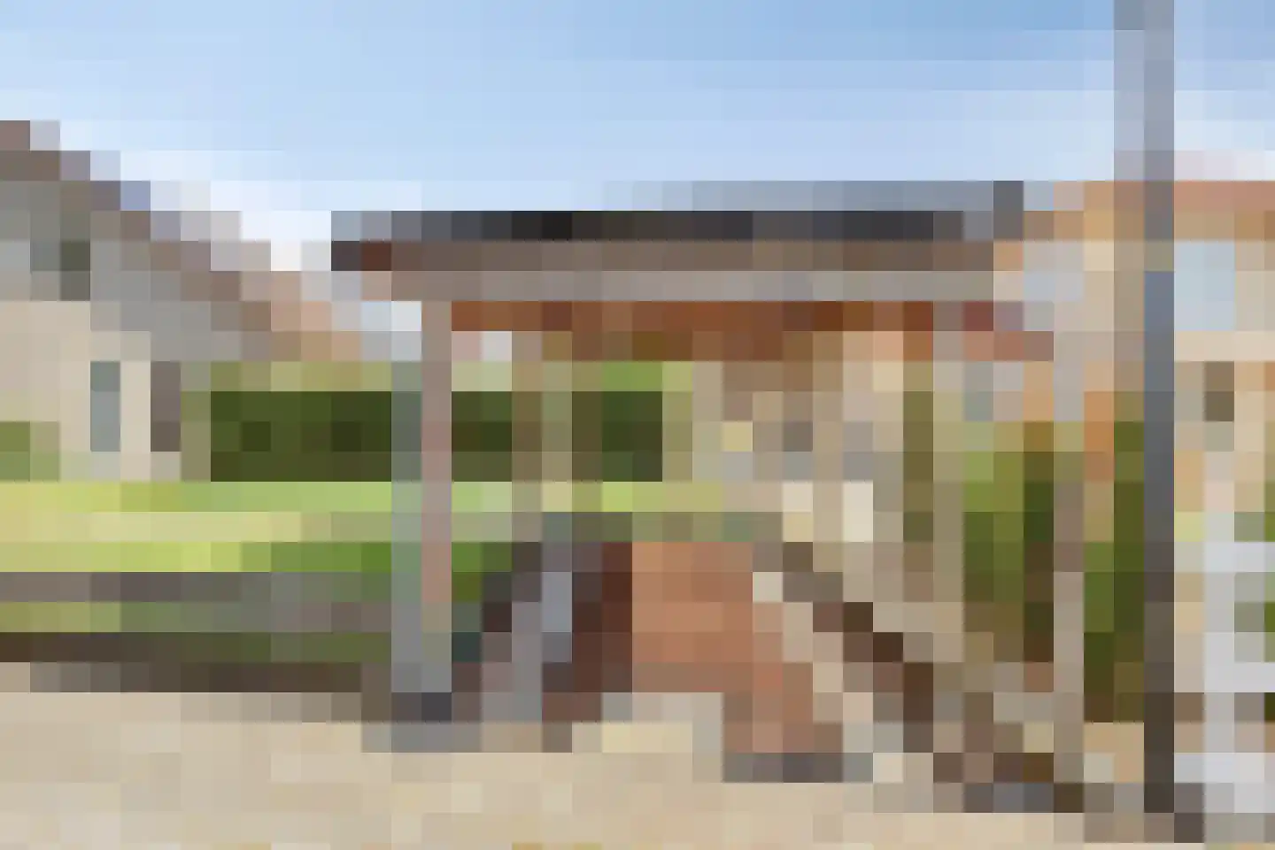 Purperreiger 5 Wildervank thumbnail 78
