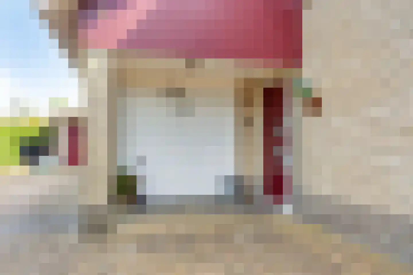 Purperreiger 5 Wildervank thumbnail 8