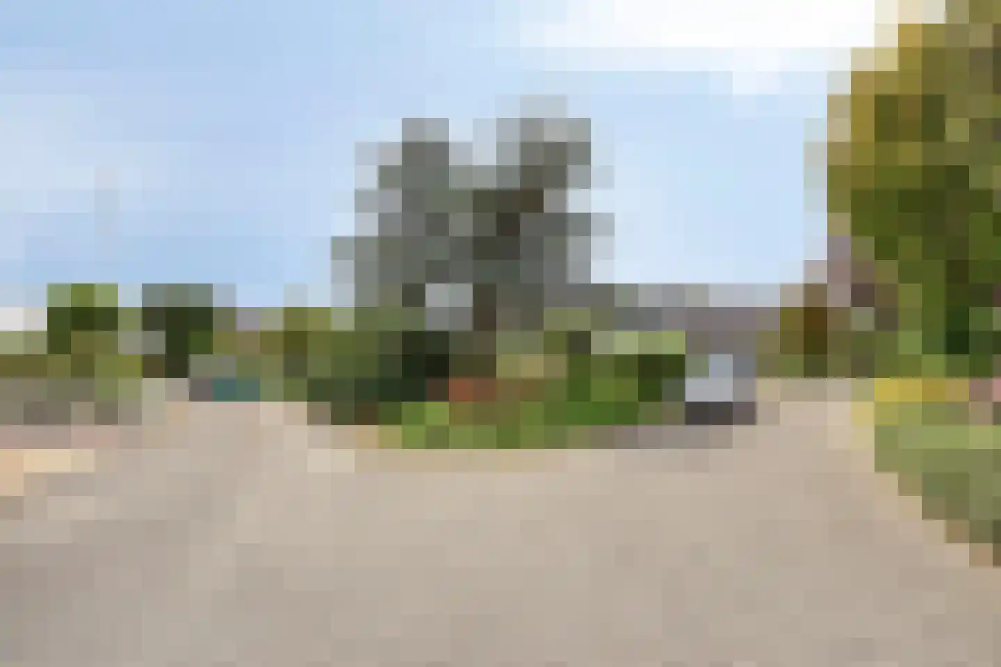 Purperreiger 5 Wildervank thumbnail 80