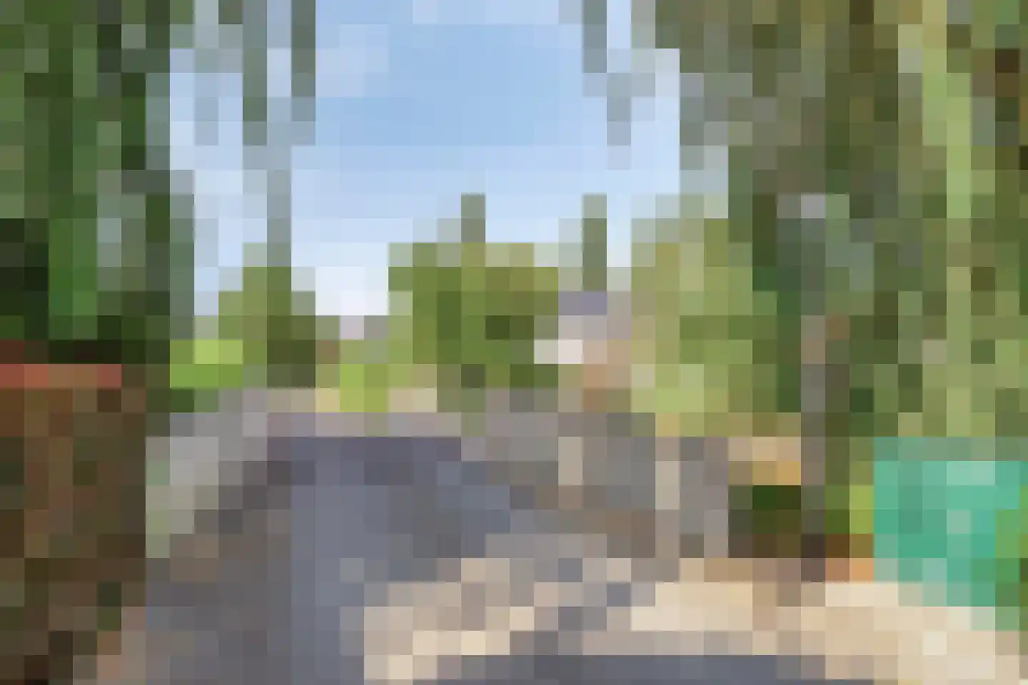 Purperreiger 5 Wildervank thumbnail 81