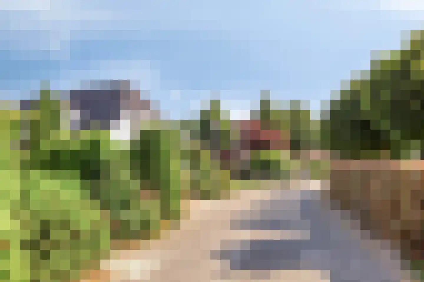 Purperreiger 5 Wildervank thumbnail 82