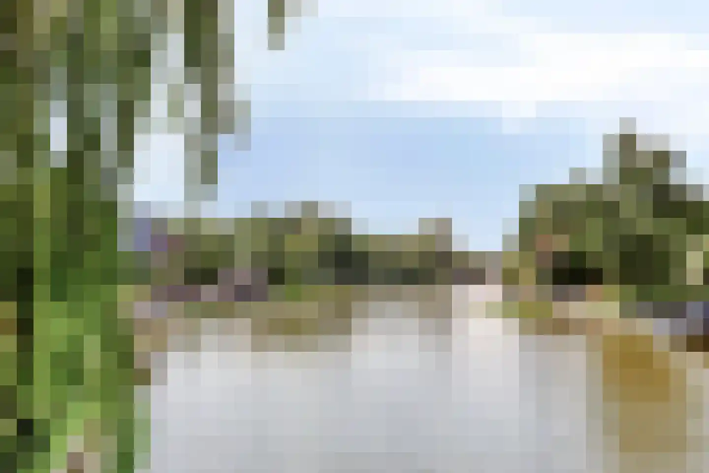 Purperreiger 5 Wildervank thumbnail 84