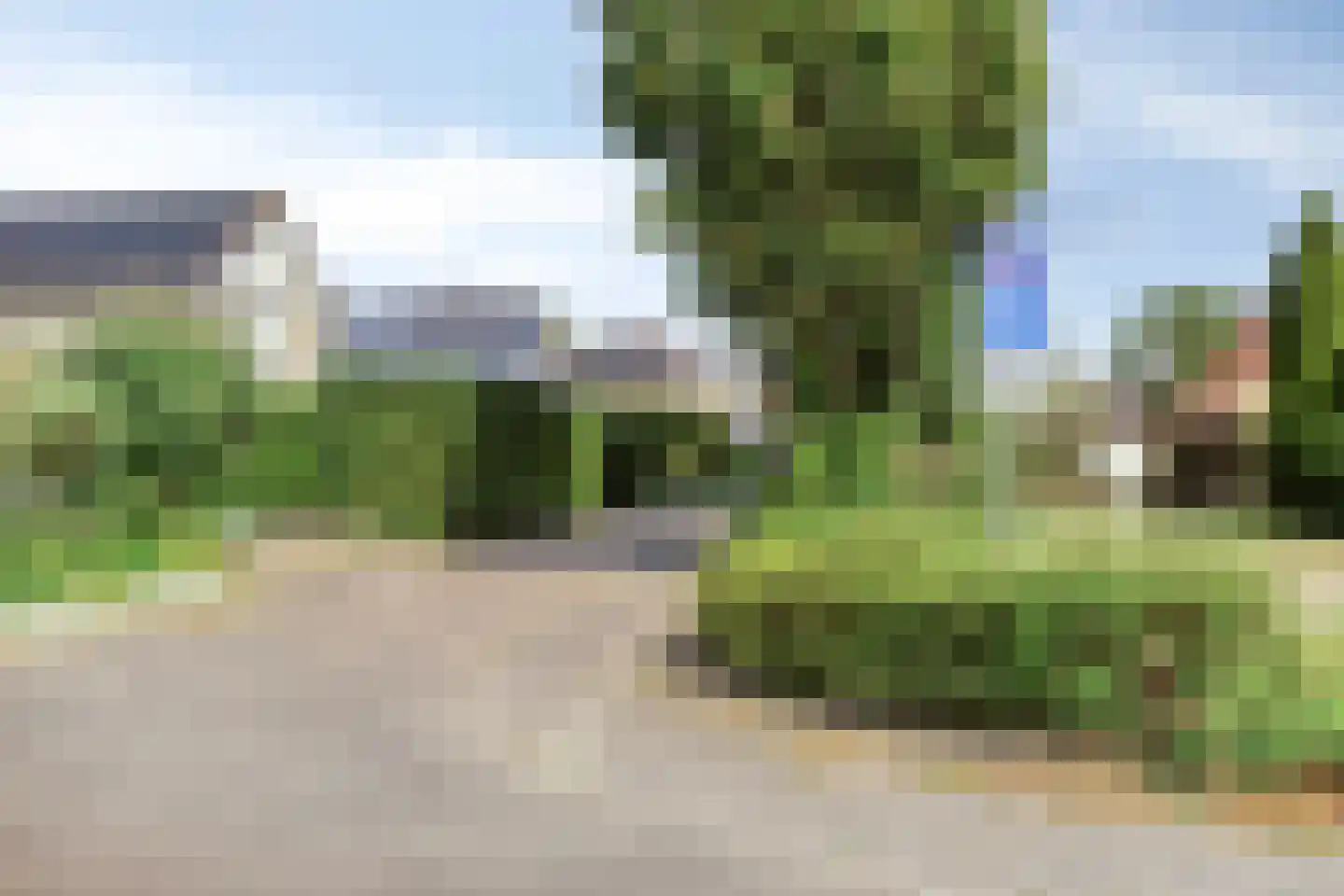 Purperreiger 5 Wildervank thumbnail 85