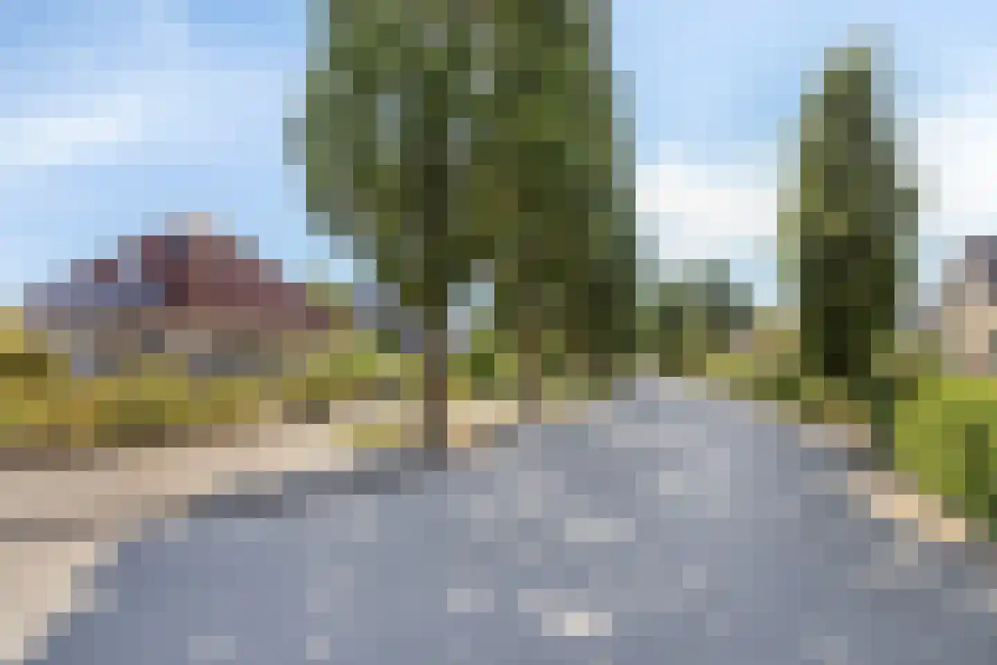 Purperreiger 5 Wildervank thumbnail 86