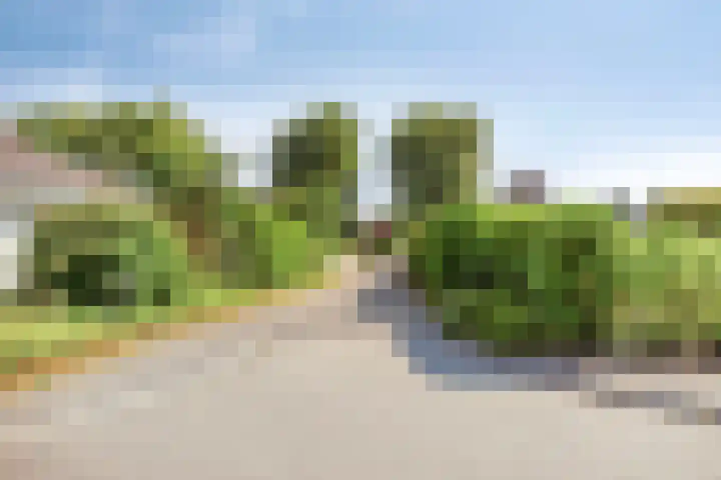 Purperreiger 5 Wildervank thumbnail 87