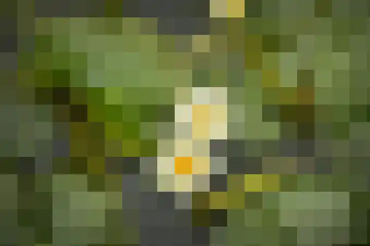 Purperreiger 54 Ouderkerk aan de Amstel thumbnail 10