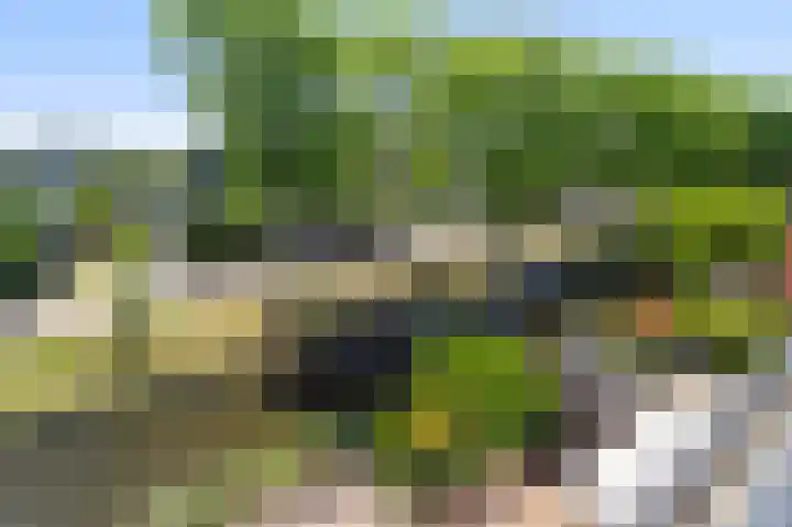 Purperreiger 54 Ouderkerk aan de Amstel thumbnail 31
