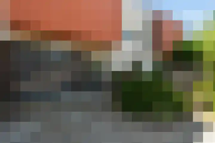 Purperreiger 54 Ouderkerk aan de Amstel thumbnail 33