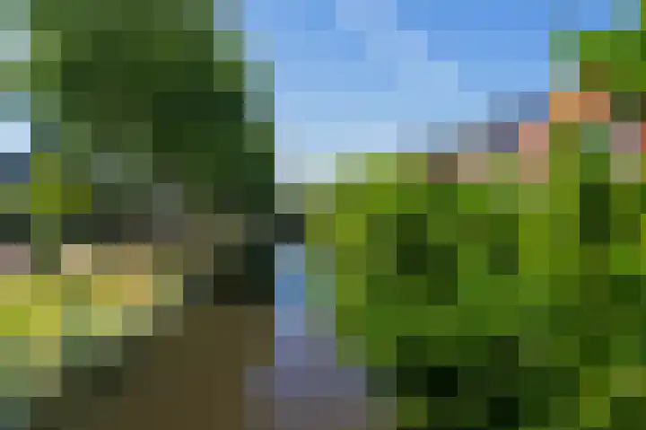 Purperreiger 54 Ouderkerk aan de Amstel thumbnail 35
