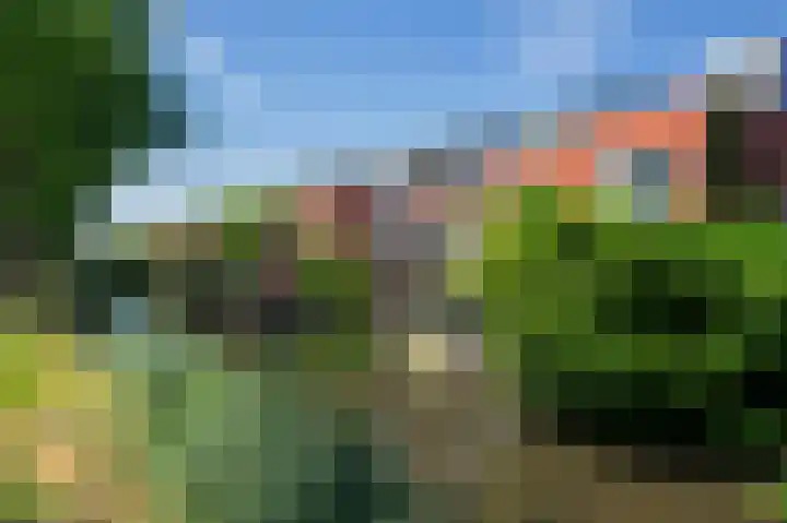 Purperreiger 54 Ouderkerk aan de Amstel thumbnail 36