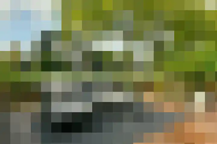Purperreiger 54 Ouderkerk aan de Amstel thumbnail 8