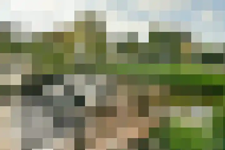 Purperreiger 54 Ouderkerk aan de Amstel thumbnail 9