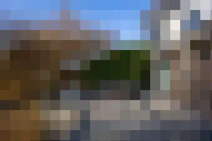 Purperreiger 60 Ouderkerk aan de Amstel thumbnail 21