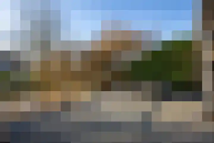 Purperreiger 60 Ouderkerk aan de Amstel thumbnail 22