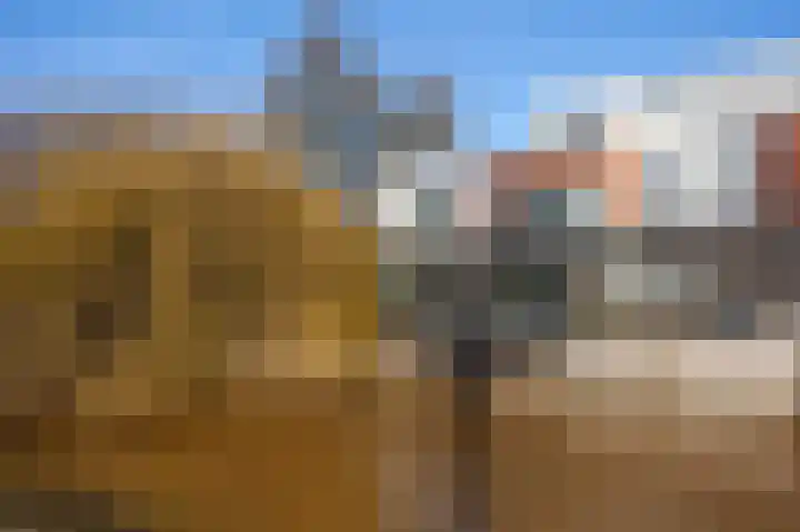 Purperreiger 60 Ouderkerk aan de Amstel thumbnail 38