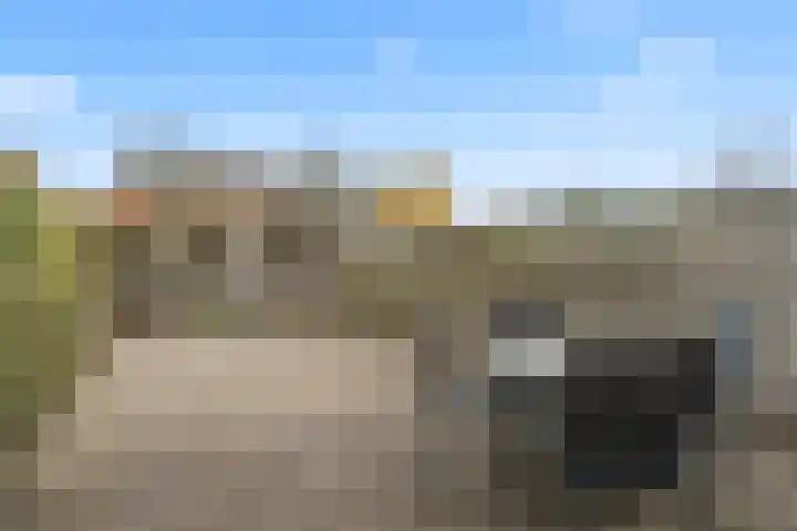 Purperreiger 7 Kockengen thumbnail 10