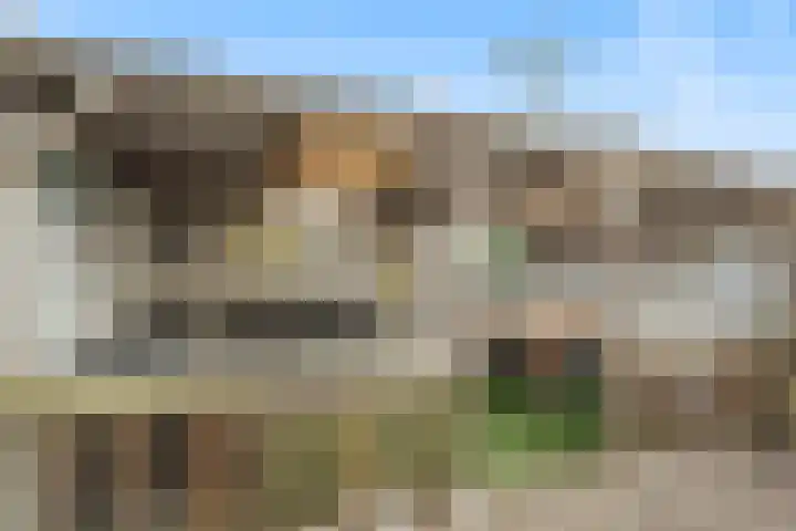 Purperreiger 7 Kockengen thumbnail 11
