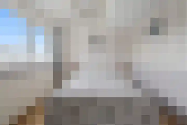 Purperreiger 7 Kockengen thumbnail 16