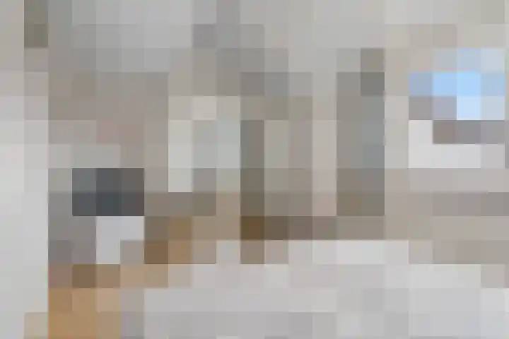 Purperreiger 7 Kockengen thumbnail 18