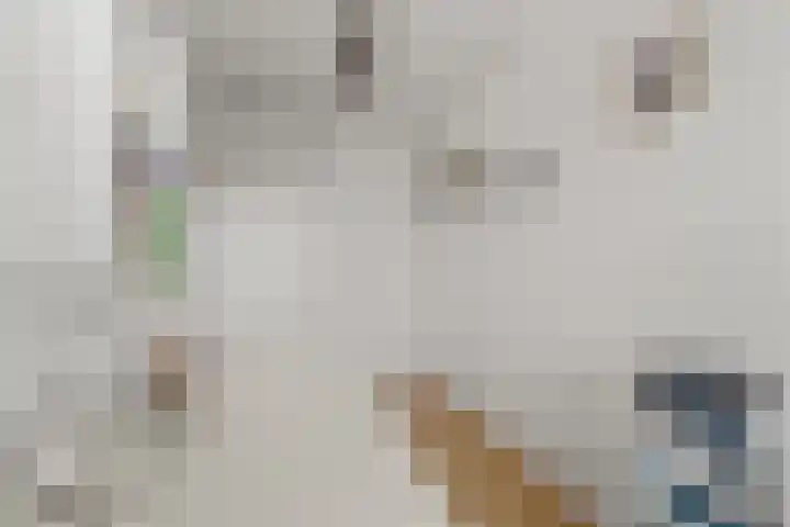 Purperreiger 7 Kockengen thumbnail 20
