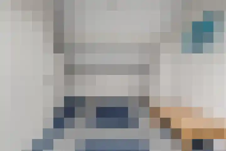 Purperreiger 7 Kockengen thumbnail 25