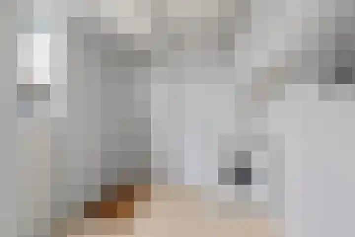 Purperreiger 7 Kockengen thumbnail 27