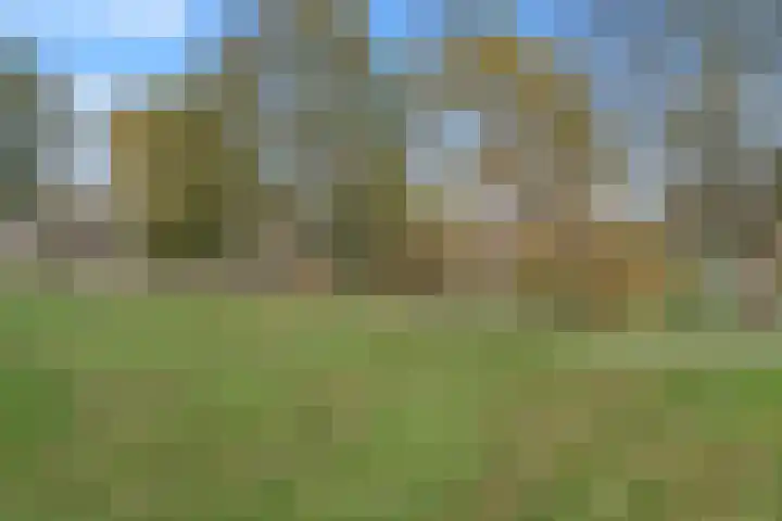 Purperreiger 7 Kockengen thumbnail 29