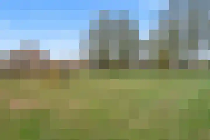 Purperreiger 7 Kockengen thumbnail 30