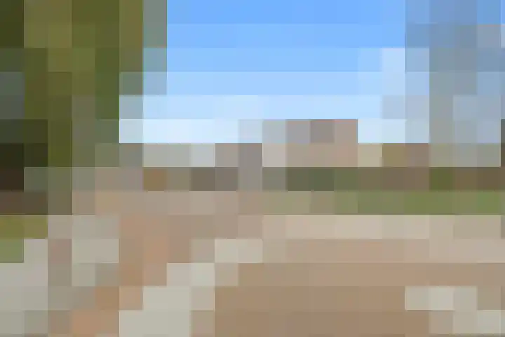 Purperreiger 7 Kockengen thumbnail 31