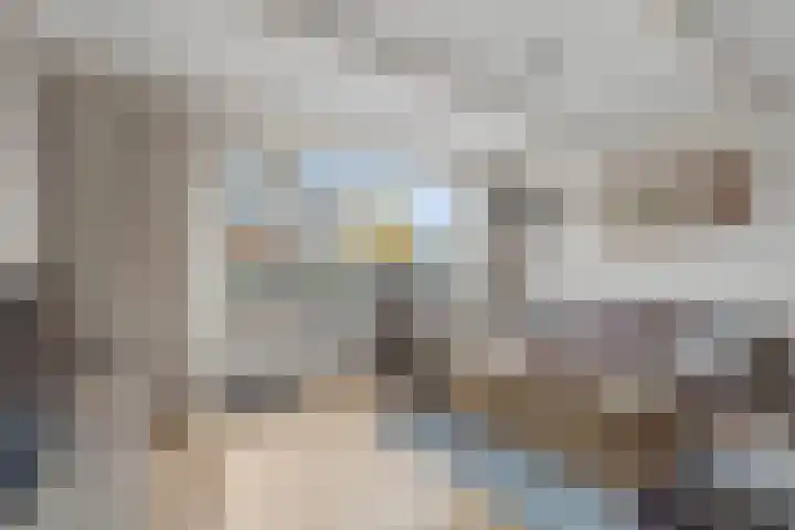 Purperreiger 7 Kockengen thumbnail 6