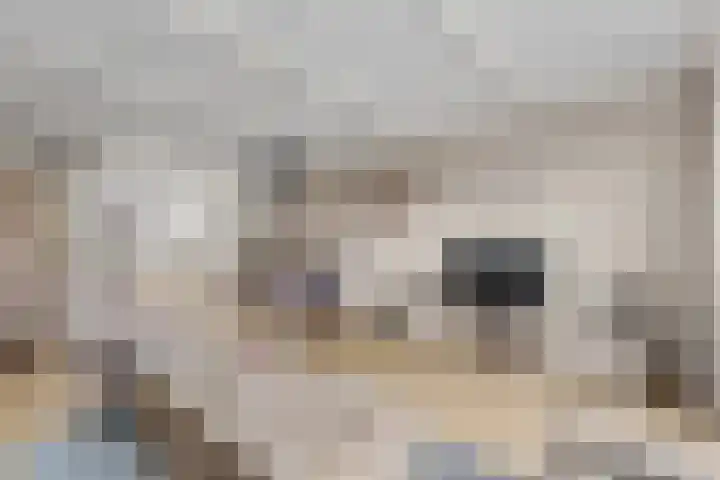 Purperreiger 7 Kockengen thumbnail 7