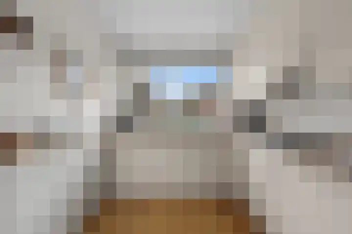 Purperreiger 7 Kockengen thumbnail 9