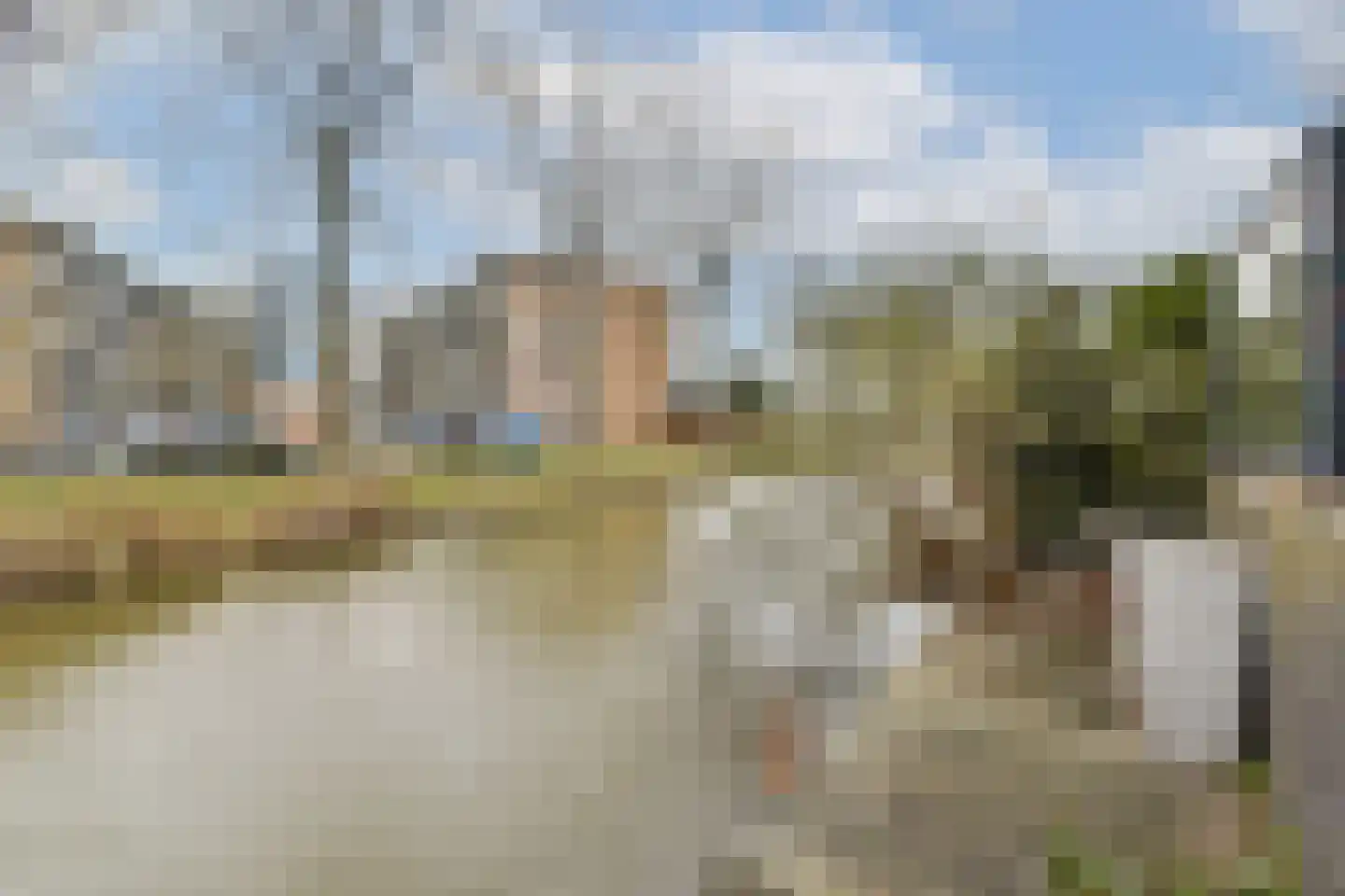 Purperreiger 92 Ouderkerk aan de Amstel thumbnail 16