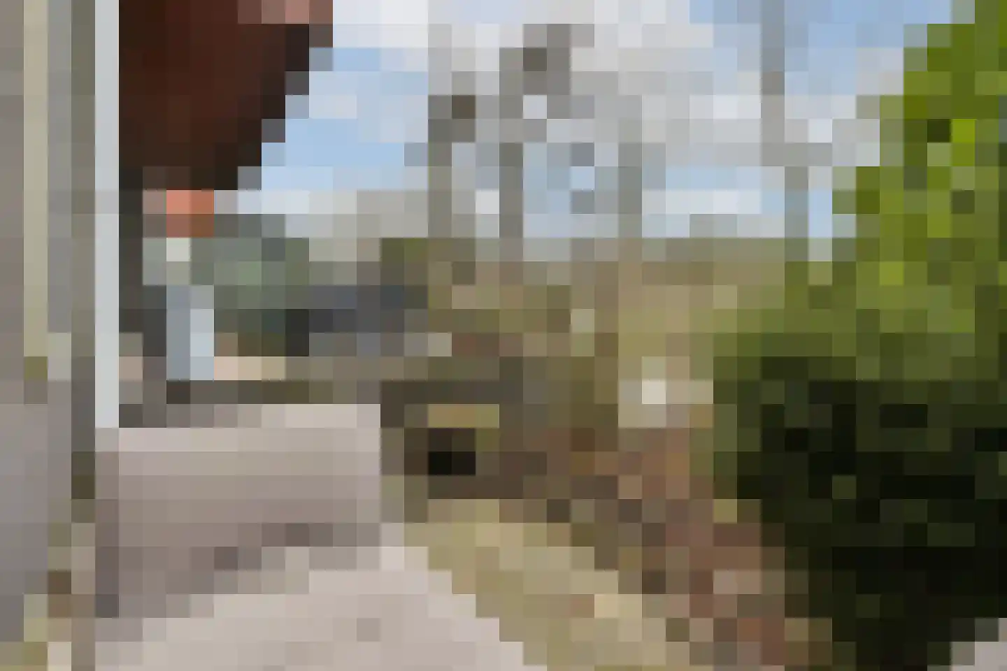 Purperreiger 92 Ouderkerk aan de Amstel thumbnail 17