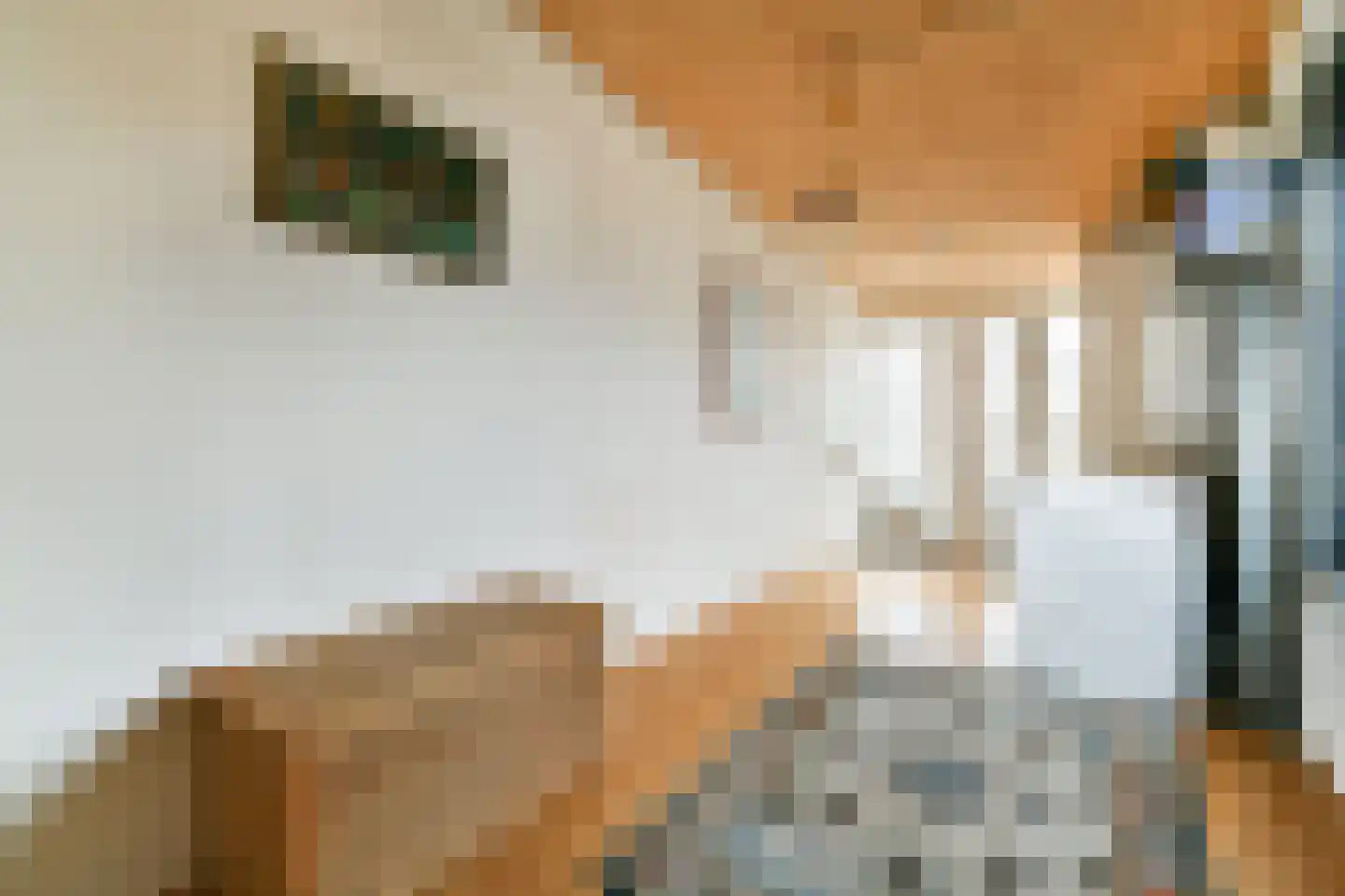 Purperreiger 92 Ouderkerk aan de Amstel thumbnail 33