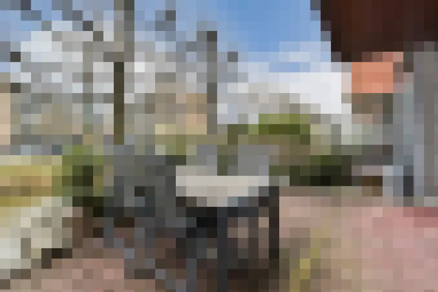 Purperreiger 92 Ouderkerk aan de Amstel thumbnail 4