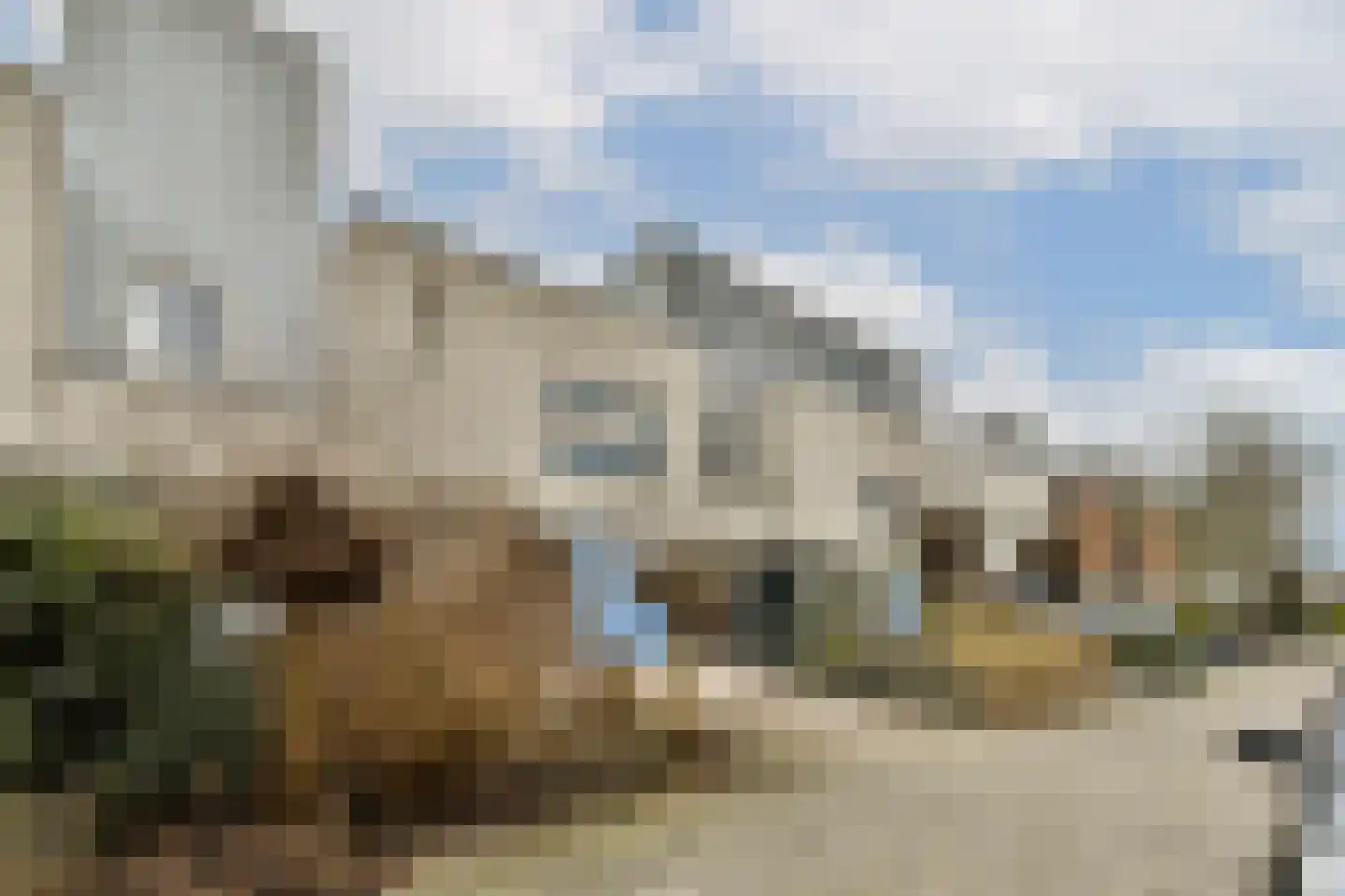 Purperreiger 92 Ouderkerk aan de Amstel thumbnail 5