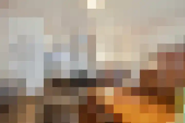 Purperwier 7 Leiden thumbnail 10