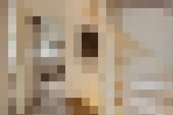 Purperwier 7 Leiden thumbnail 15