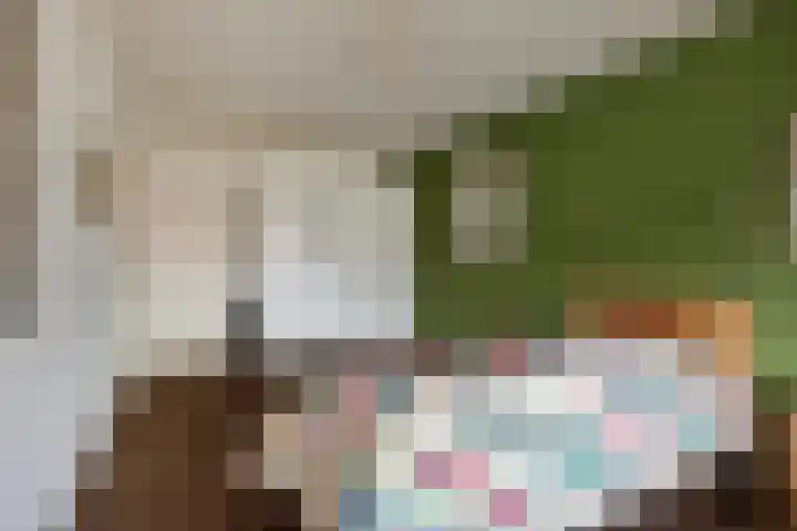Purperwier 7 Leiden thumbnail 17