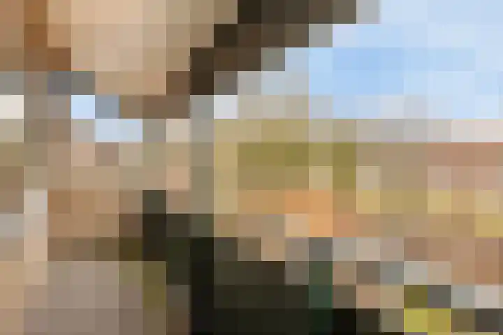 Purperwier 7 Leiden thumbnail 18