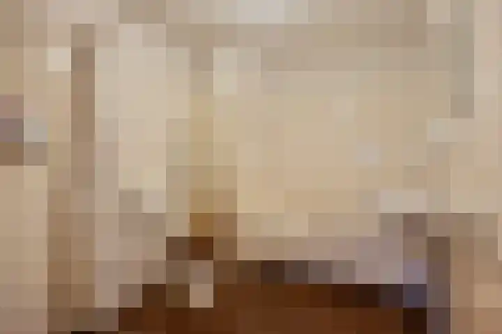 Purperwier 7 Leiden thumbnail 21
