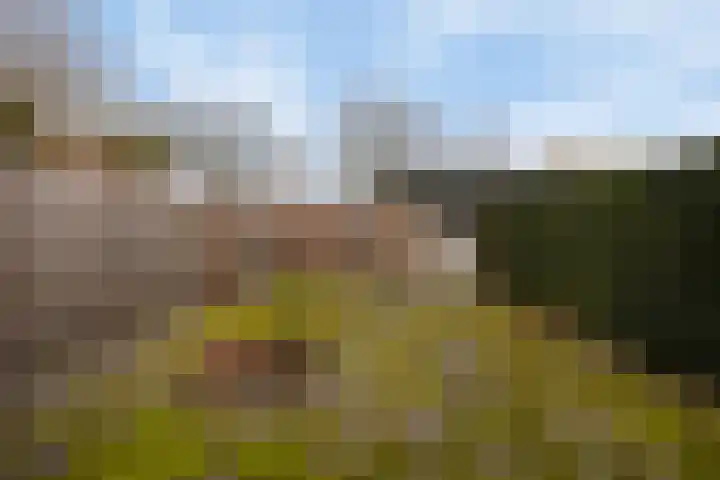 Purperwier 7 Leiden thumbnail 30