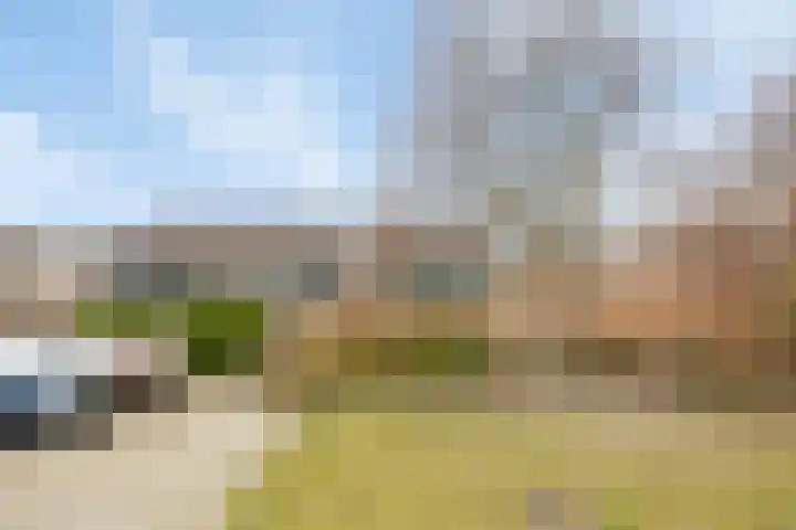 Purperwier 7 Leiden thumbnail 32