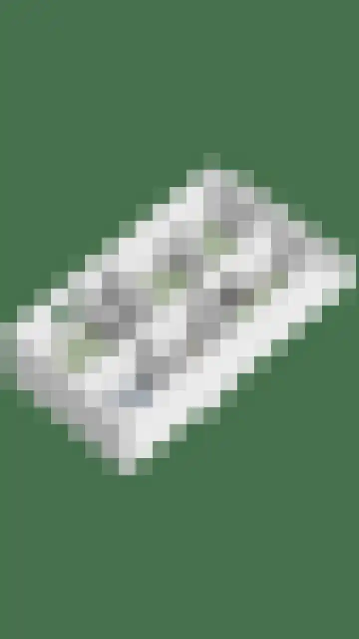 Purperwier 7 Leiden thumbnail 39