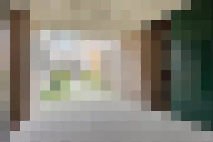 Purperwier 7 Leiden thumbnail 6
