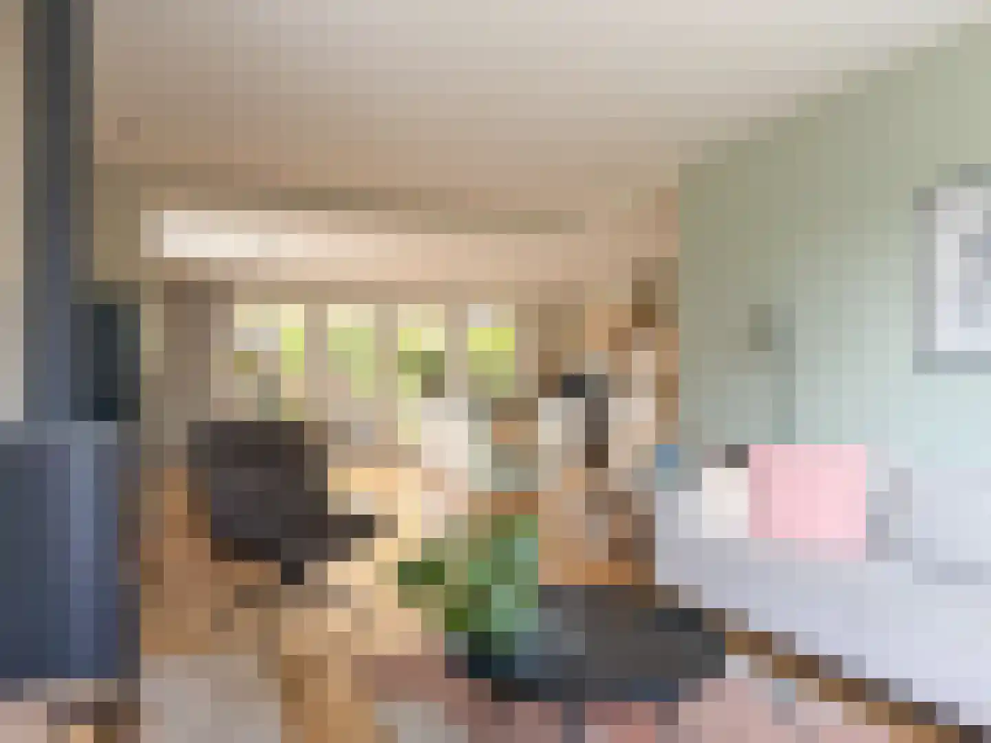 Putakker 13 Leersum thumbnail 7